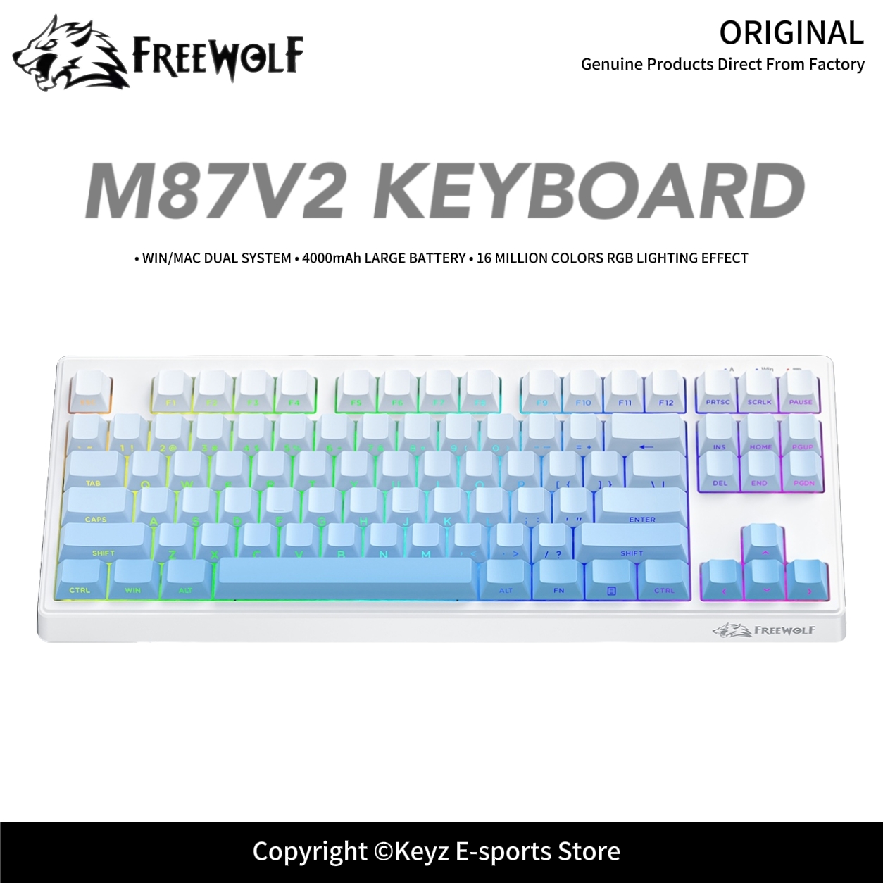 Tastiera da Gaming Tri-Mode FR - Keyboard Gaming Transparent recensione e prezzo